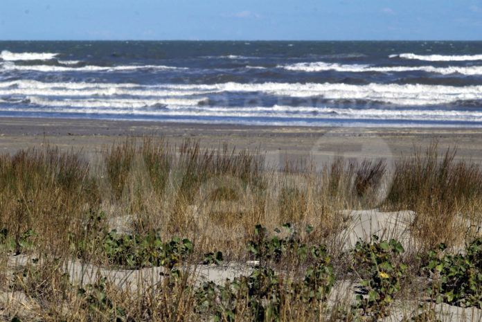 rn-duna-porto-corsini