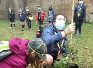 “Mettiamo radici per il futuro”: dall’1 ottobre riprende la distribuzione gratuita delle piante