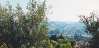 Domenica 29 maggio Merenda nell’Oliveta a Brisighella