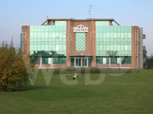 Caviro