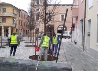 Cittadini attivi nella cura del verde urbano: progetto presentato ad un convegno nazionale