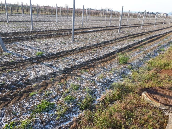 37470246-d6d4-4437-97c9-532e300d000f