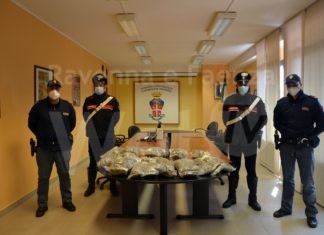 Punta Marina: Arresto di un albanese per detenzione ai fini di spaccio di circa 13 Kg di marijuana