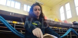 Rarissima tartaruga verde spiaggiata a Porto Corsini