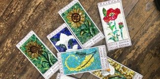 Comitato Spasso in Ravenna e Linea Rosa insieme nella settimana che porta all’8 Marzo