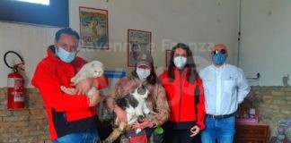 Cuore e Territorio a sostegno del Gattile San Francesco