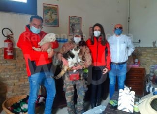 Cuore e Territorio a sostegno del Gattile San Francesco