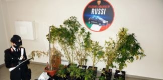 Filetto: 5 arrestati, 4 magrebini per droga ed un 74enne per porto d’arma abusivo (da guerra)