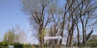 Fusignano: Comitato spontaneo di cittadini, lettera aperta al sindaco Pasi, di protesta per l’antenna Iliad