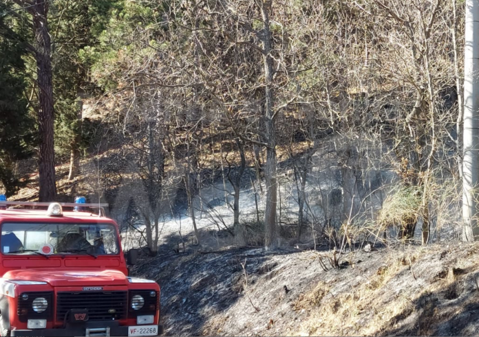 Schermata 2021-03-16 alle 13.03.07