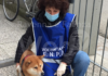 Enpa: “Volontari Covid” Portano a spasso i cani dei padroni in quarantena