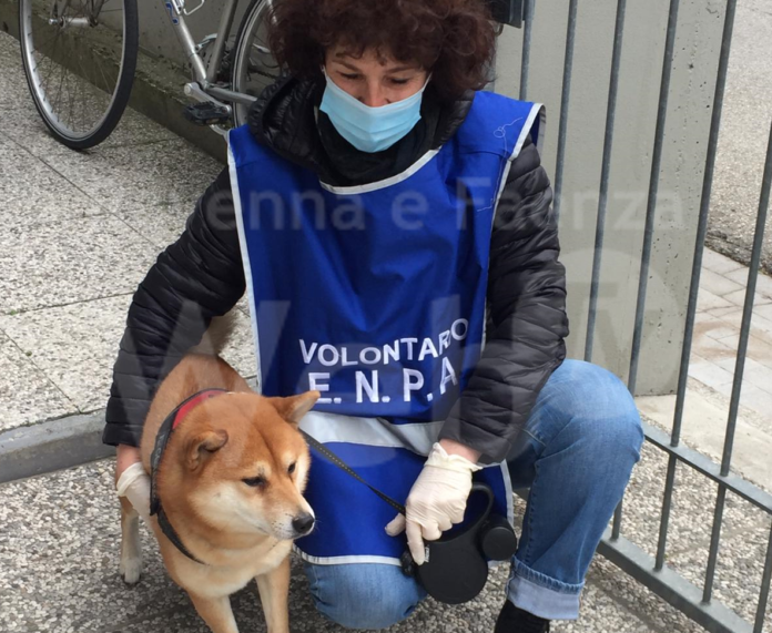 clipboard-1615891075612