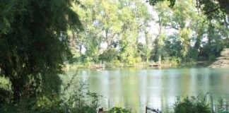 Verdi / Europa Verde Lugo e Bassa Romagna: Spostiamo l’antenna di Via Varolo a Fusignano