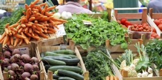 Consumi, Coldiretti; giù il carrello, da -10% ortofrutta -31% pesce