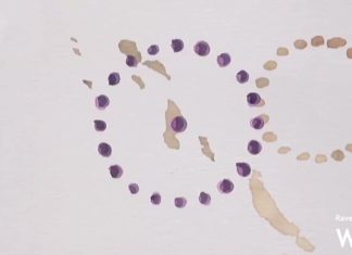 Presentato il bilancio di sostenibilità di Caviro