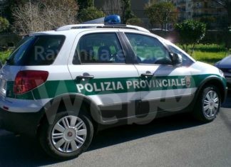 La Fp Cgil Ravenna organizza un ciclo di lezioni in preparazione del concorso per diventare agente di Polizia provinciale