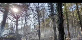 Incendio Rontana, il sindaco Pederzoli: “Intervento tempestivo ha limitato i danni”