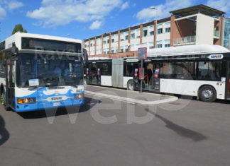 Start Romagna: 100% delle corse a Forlì/Cesena, invariata la situazione a Ravenna e Rimini