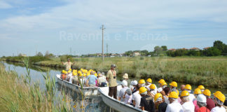 Questa settimana riaprono musei e parchi del circuito AmaParco. Ripartono pedalate e giornate in natura