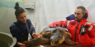Importante accordo fra Autorità Portuale e Cestha: nell’ex stabulario un centro di ricerca e protezione della fauna marina