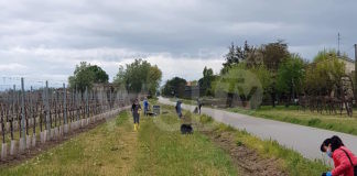 I volontari della Consulta e dell’associazione Bizzuno Insieme ripuliscono il fosso di via Tomba