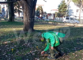 Il Servizio Ambiente e i volontari Gev al lavoro per la salvaguardia delle orchidee spontanee