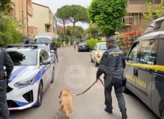 Ladri di biciclette sgominata una banda di quattro persone