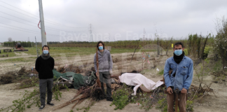 Ortisti di Strada distribuisce gratuitamente 300 alberi da frutto alle associazioni impegnate nel sociale