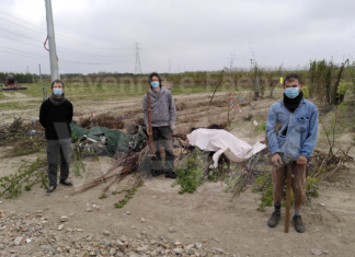 Ortisti di Strada distribuisce gratuitamente 300 alberi da frutto alle associazioni impegnate nel sociale