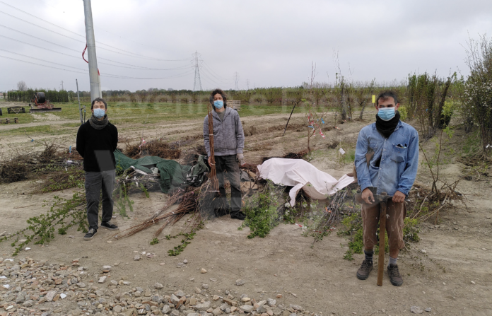 Schermata 2021-04-07 alle 16.06.32