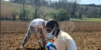 Prosegue il progetto di orto sociale di Caritas e associazione Farsi Prossimo. Partono i tirocini di Terra Condivisa