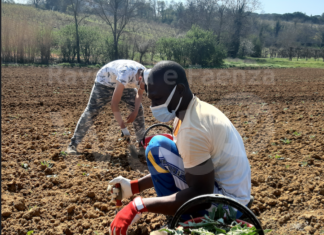 Prosegue il progetto di orto sociale di Caritas e associazione Farsi Prossimo. Partono i tirocini di Terra Condivisa