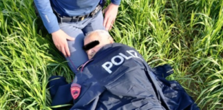 Classe, anziano esce di casa nel cuore della notte: la Polizia lo trova nei campi in grave ipotermia