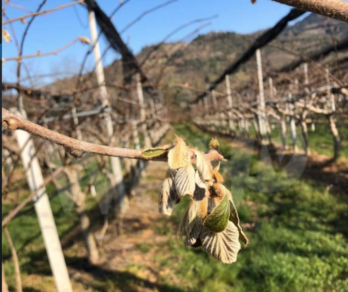 Schermata 2021-04-20 alle 14.21.17