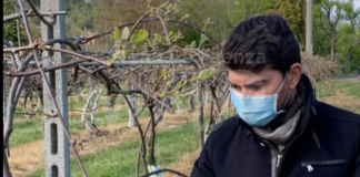 L’assessore regionale Mammi a Casola Valsenio per verificare i danni da gelate in agricoltura