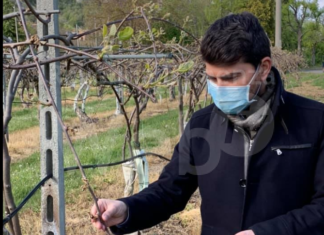 L’assessore regionale Mammi a Casola Valsenio per verificare i danni da gelate in agricoltura