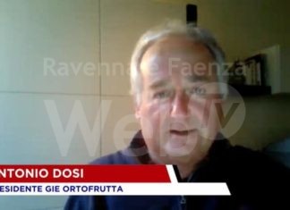 Ortofrutta: Cia, agricoltori senza giusto reddito. Più equità per settore da 15 miliardi