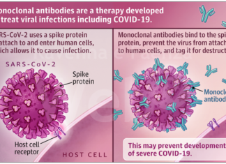 Coronavirus, anche a Ravenna partirà la terapia con gli anticorpi monoclonali: come funziona