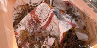 Volontari dell’associazione Piccola Oasi Lilly e i Vagabondi puliscono i parchi dai rifiuti: “Troppa maleducazione”