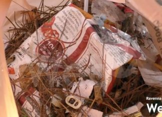 Volontari dell’associazione Piccola Oasi Lilly e i Vagabondi puliscono i parchi dai rifiuti: “Troppa maleducazione”