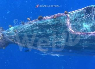 11 aprile, “Giornata del mare e della cultura marinara”