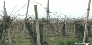 Gelate, situazione peggiore rispetto al 2020