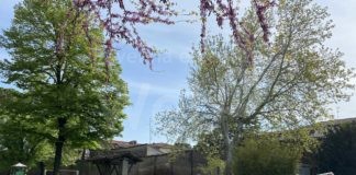 Bagnacavallo: il Parco delle Cappuccine riapre lunedì 26 aprile
