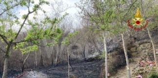 Risolto l’incendio a Fognano, ne scoppia un altro a Brisighella