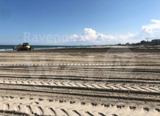 Cooperativa bagnini di Cervia: al via le operazioni di livellamento della duna di sabbia