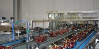 Ciliegie, buoni auspici per Agrintesa: attesi 24 mila quintali