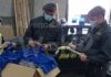 GDF: Sequestrate al porto di Ravenna 10250 “Polo” contraffatte prodotte in Bangladesh