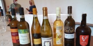 A Brisighella premiati i migliori Albana secco di Romagna