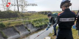 Si è conclusa l’operazione ambientale “Onda Blu”: 700 controlli da parte della Guardia Costiera