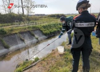 Si è conclusa l’operazione ambientale “Onda Blu”: 700 controlli da parte della Guardia Costiera